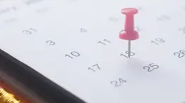 Conozca los días feriados que tiene junio