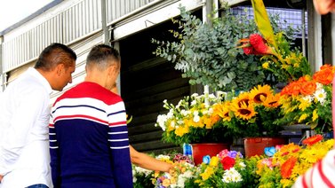 Caracas | Aquí consigues las flores más económicas (+PRECIOS)