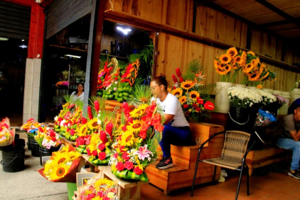Caracas | Aquí consigues las flores más económicas (+PRECIOS) Caracas | Aquí consigues las flores más económicas (+PRECIOS)