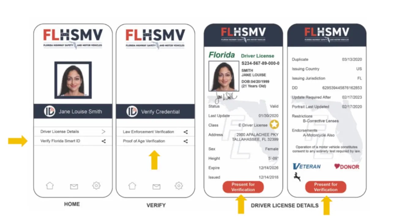 EEUU | Así puedes descargar la licencia digital que te permite circular por Florida (+Detalles)