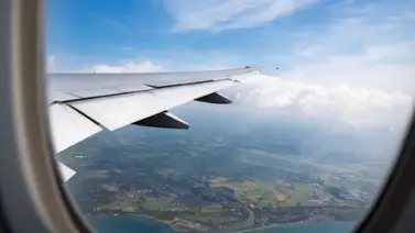 Pánico en el aire: Avión retorna a una isla en Colombia tras impactar con un ave Pánico en el aire: Avión retorna a una isla en Colombia tras impactar con un ave