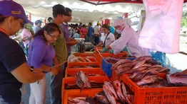 Vuelve la Feria del Cardumen: Realizan venta de pescado en Caracas este fin de semana