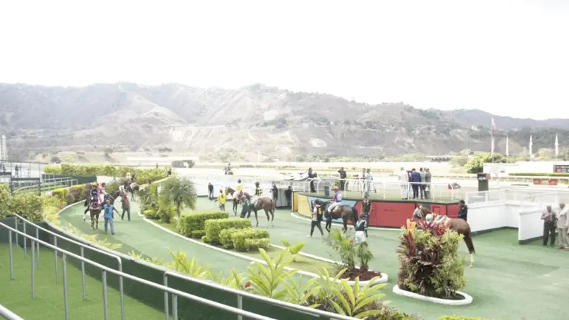 Medio millón de dólares es el pote de La Rinconada este 2 de junio