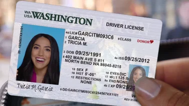 EEUU | Así puedes conseguir la licencia de conducir para indocumentados en Washington (+Requisitos)