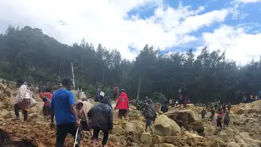 Buscan supervivientes del alud en Papúa Nueva Guinea Buscan supervivientes del alud en Papúa Nueva Guinea