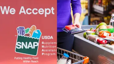 EEUU | Los cuatro estados que recibirán el pago SNAP de hasta $3.487 (+Fecha) EEUU | Los cuatro estados que recibirán el pago SNAP de hasta $3.487 (+Fecha)