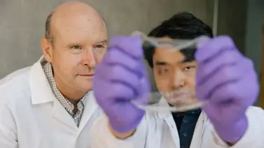 Científicos chinos crean piel electrónica que resiste frío extremo Científicos chinos crean piel electrónica que resiste frío extremo