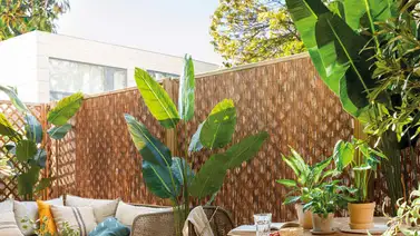 Conoce el estilo fugu para un hogar que conecta con la naturaleza Conoce el estilo fugu para un hogar que conecta con la naturaleza