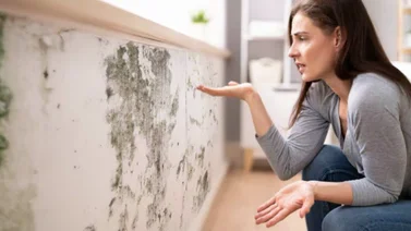Combate la humedad con estos tips de impermeabilización