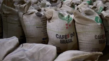 El café va en camino de convertirse otra vez en un lujo: Sepa por qué