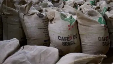 El café va en camino de convertirse otra vez en un lujo: Sepa por qué El café va en camino de convertirse otra vez en un lujo: Sepa por qué