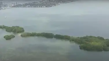 Miami | Ponen en venta por millones de dólares isla santuario de aves Miami | Ponen en venta por millones de dólares isla santuario de aves