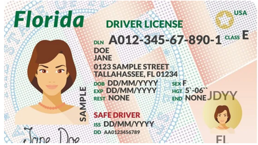 EEUU | Florida entrega licencias de conducir tras aprobar estos exámenes