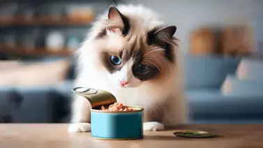 Esto dice la ciencia acerca del por qué los gatos aman comer atún Esto dice la ciencia acerca del por qué los gatos aman comer atún