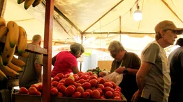 Caracas | "Los Gochos" tienen estas hortalizas en oferta