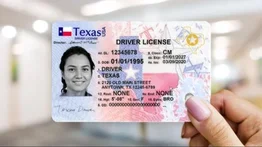EEUU | Texas entrega licencias de conducir tras aprobar estos exámenes (+COSTOS)