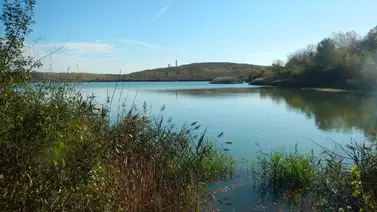 Este parque de Illinois está entre los mejores de EEUU para acampar (+Detalles) Este parque de Illinois está entre los mejores de EEUU para acampar (+Detalles)