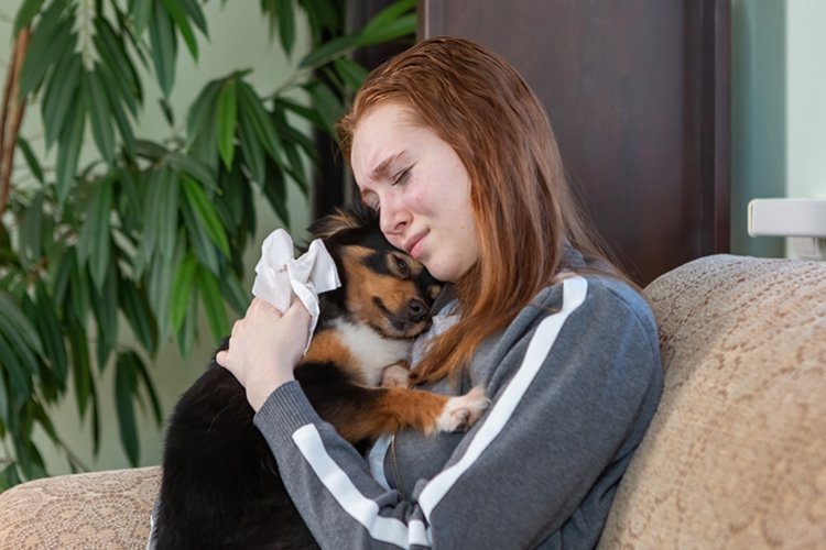 Sobreviviendo a la pérdida de una mascota: ¿Cómo superarlo? Sobreviviendo a la pérdida de una mascota: ¿Cómo superarlo?