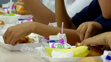 Texas | Anuncian programa de comida gratis para estudiantes en verano: ¿Cómo acceder?