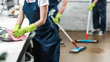 California paga 1.000 dólares semanales a personas sin estudios (+Requisitos) California paga 1.000 dólares semanales a personas sin estudios (+Requisitos)