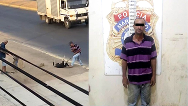 Ministerio público imputará a hombre por maltrato animal (+Detalles)
