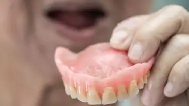 Perro le roba la dentadura postiza a la abuela de su dueña (+Video) Perro le roba la dentadura postiza a la abuela de su dueña (+Video)