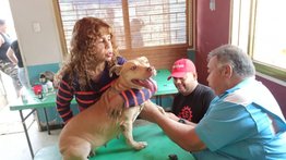Activan jornadas de atención veterinaria gratuita en parroquias de Caracas este #11May
