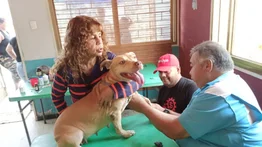 Activan jornadas de atención veterinaria gratuita en parroquias de Caracas este #11May