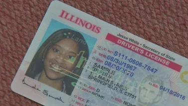 EEUU: Cómo presentar el examen de manejo en español en Illinois