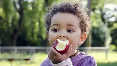 EEUU | Illinois ofrece nueva ayuda para niños durante el verano EEUU | Illinois ofrece nueva ayuda para niños durante el verano