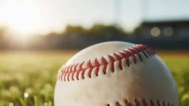 Pelotero venezolano enfrenta a la justicia americana por secuestro (+Detalles) Pelotero venezolano enfrenta a la justicia americana por secuestro (+Detalles)