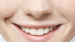 Empezarán con los ensayos del primer fármaco para hacer crecer los dientes (+Detalles) Empezarán con los ensayos del primer fármaco para hacer crecer los dientes (+Detalles)
