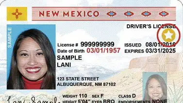 ¿Cómo sacar la licencia de conducir en Nuevo México si eres inmigrante? (+Requisitos) ¿Cómo sacar la licencia de conducir en Nuevo México si eres inmigrante? (+Requisitos)