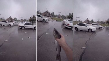 Lluvia de peces sorprende a localidad de Irán (+Video)