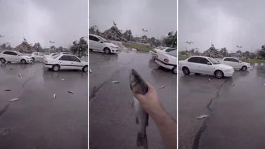 Lluvia de peces sorprende a localidad de Irán (+Video)