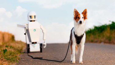 Cuida el bienestar de tu mascota con tecnología innovadora