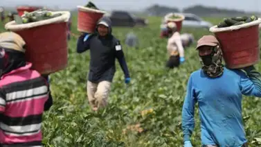 California ofrece beneficios a indocumentados: Conozca los más importantes California ofrece beneficios a indocumentados: Conozca los más importantes