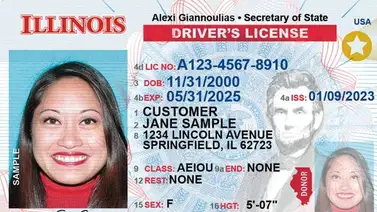 Real ID en Illinois: El truco para tramitar el documento sin cita Real ID en Illinois: El truco para tramitar el documento sin cita