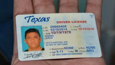 EEUU | Estas son las penas por poseer una licencia de conducir falsa EEUU | Estas son las penas por poseer una licencia de conducir falsa