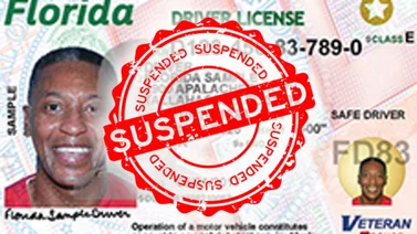 EEUU | El estado de Florida revoca licencias de conducir por estas razones (+LISTA)