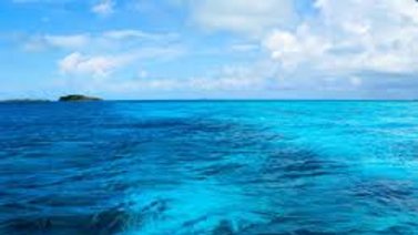 Denuncian la desaparición de 77 venezolanos en el mar Caribe
