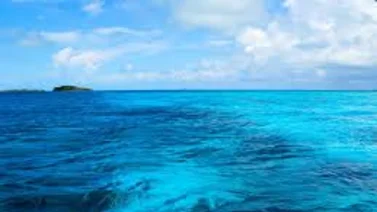 Denuncian la desaparición de 77 venezolanos en el mar Caribe