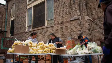 Dónde conseguir alimentos gratis en los vecindarios de Illinois (+Locaciones) Dónde conseguir alimentos gratis en los vecindarios de Illinois (+Locaciones)