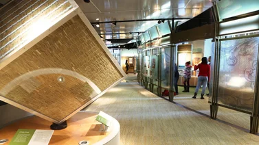 Lugares gratuitos que puedes visitar en Atlanta (+Lista)
