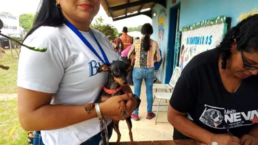 Misión Nevado ofrece atención veterinaria este sábado #27Oct en Caracas, Miranda y Aragua