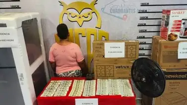 Empleada doméstica hurta miles de dólares a sus jefes en Miranda Empleada doméstica hurta miles de dólares a sus jefes en Miranda