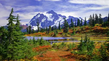 Un viaje por la naturaleza y la aventura de Estados Unidos Un viaje por la naturaleza y la aventura de Estados Unidos