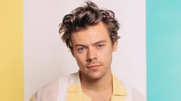 El británico Harry Styles era acosado por una brasileña (+Detalles)