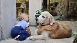 Estas son las razas de perros que se llevan muy bien con los niños