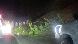 Lluvias dejan árboles caídos en la Autopista Regional del Centro
